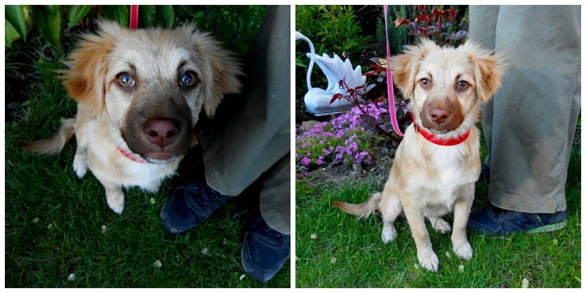 Будет самой верной