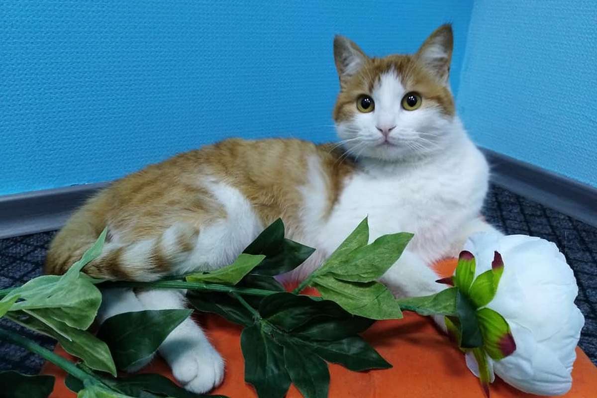 Хочет стать вашей лучшей подругой