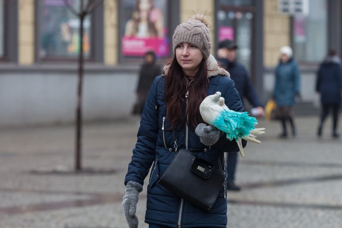 Пора устраивать митинг против фото с животными Пора устраивать митинг против фото с животными