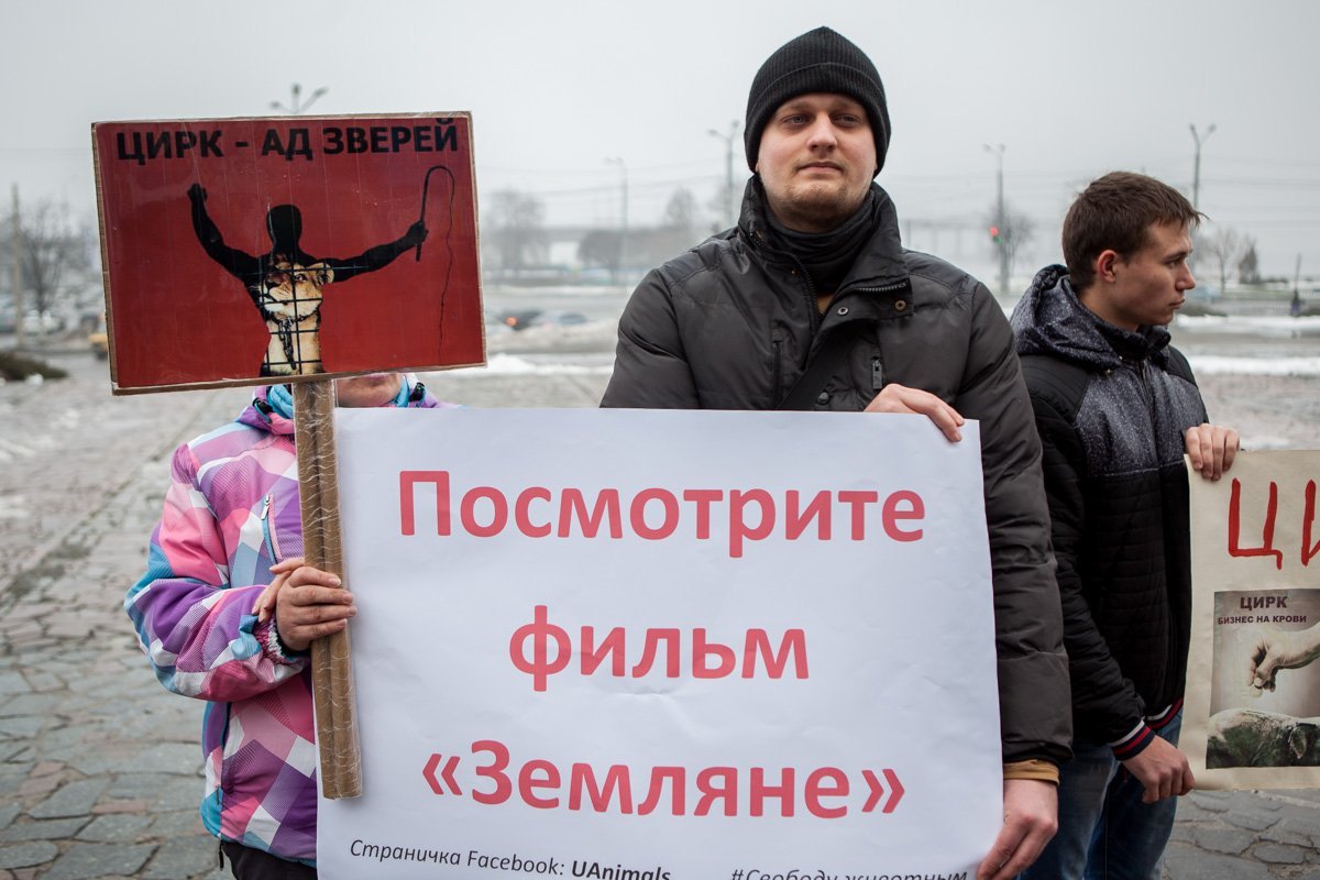 Организаторы утверждают, что цирк должен отказаться от участия животных в представлениях Организаторы утверждают, что цирк должен отказаться от участия животных в представлениях