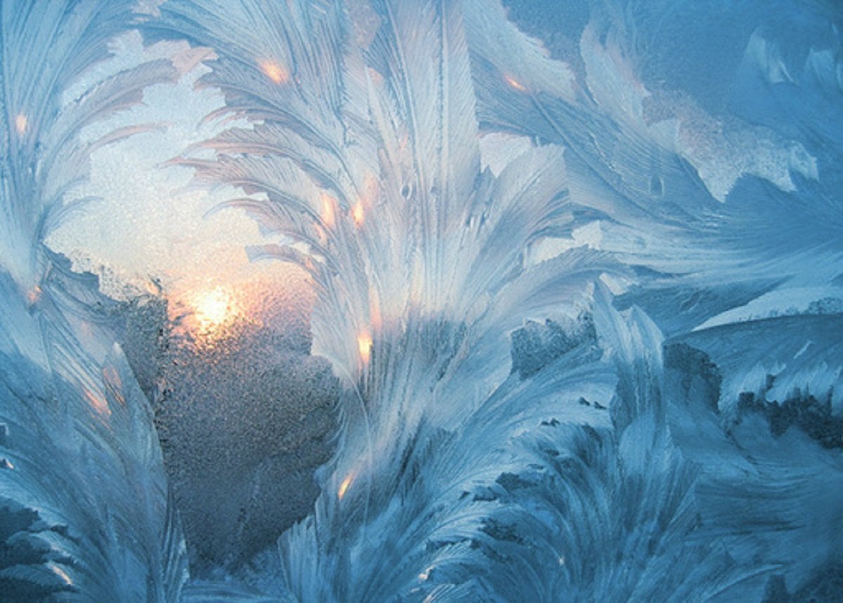 Волшебный рисунок на стекле кажется рукотворным Волшебный рисунок на стекле кажется рукотворным