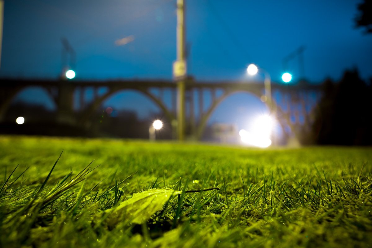 Именно ночью мир, привычный и знакомый нам до мелочей днем, преображается и становится совершенно другим Именно ночью мир, привычный и знакомый нам до мелочей днем, преображается и становится совершенно другим