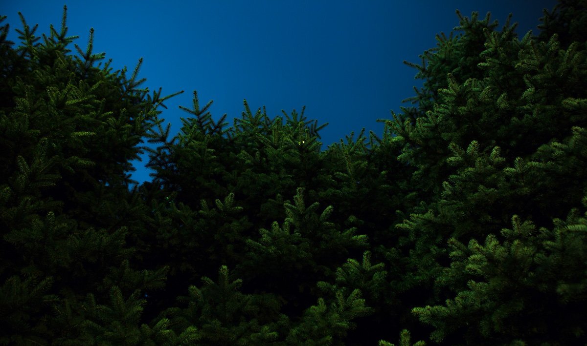 Найти что-то необычное можно просто выйдя на улицу и оглянувшись вокруг Найти что-то необычное можно просто выйдя на улицу и оглянувшись вокруг