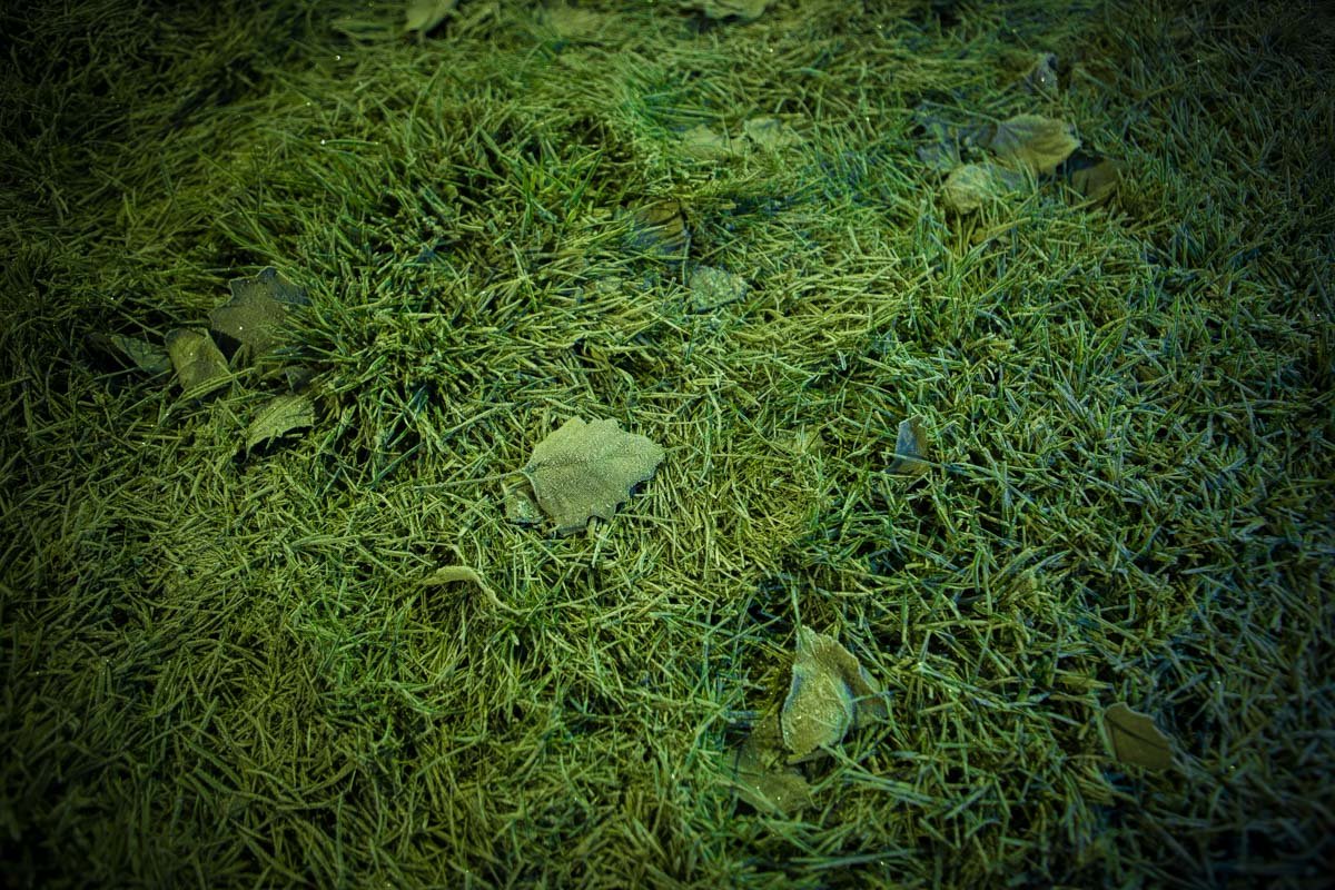 Фото: Сергей Бумер Фото: Сергей Бумер