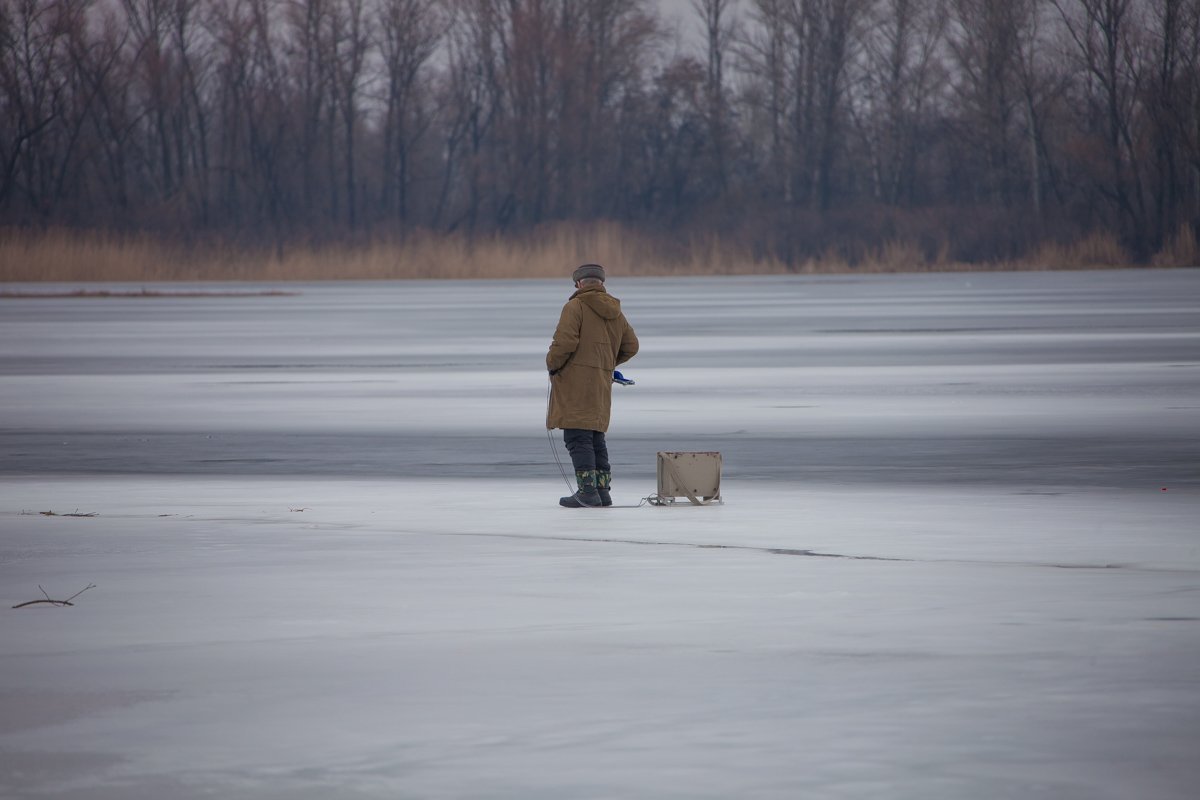 Как мило, дедушка катает рыбу на санках Как мило, дедушка катает рыбу на санках