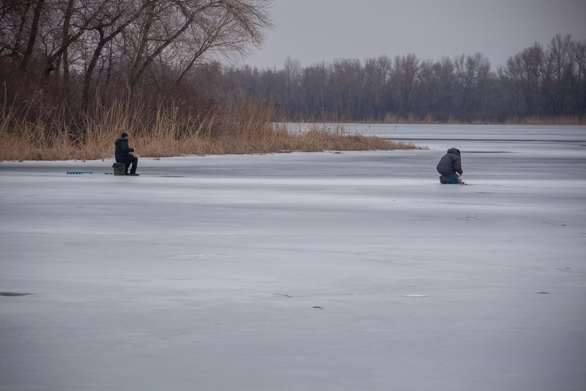 Хитрый рыбак расположился ближе к берегу Хитрый рыбак расположился ближе к берегу