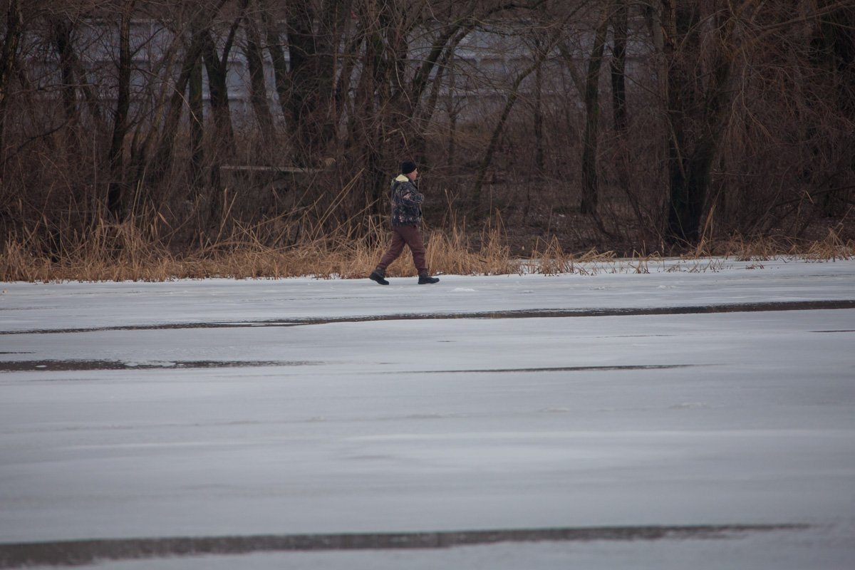 Вот умничка, возле берега идет Вот умничка, возле берега идет