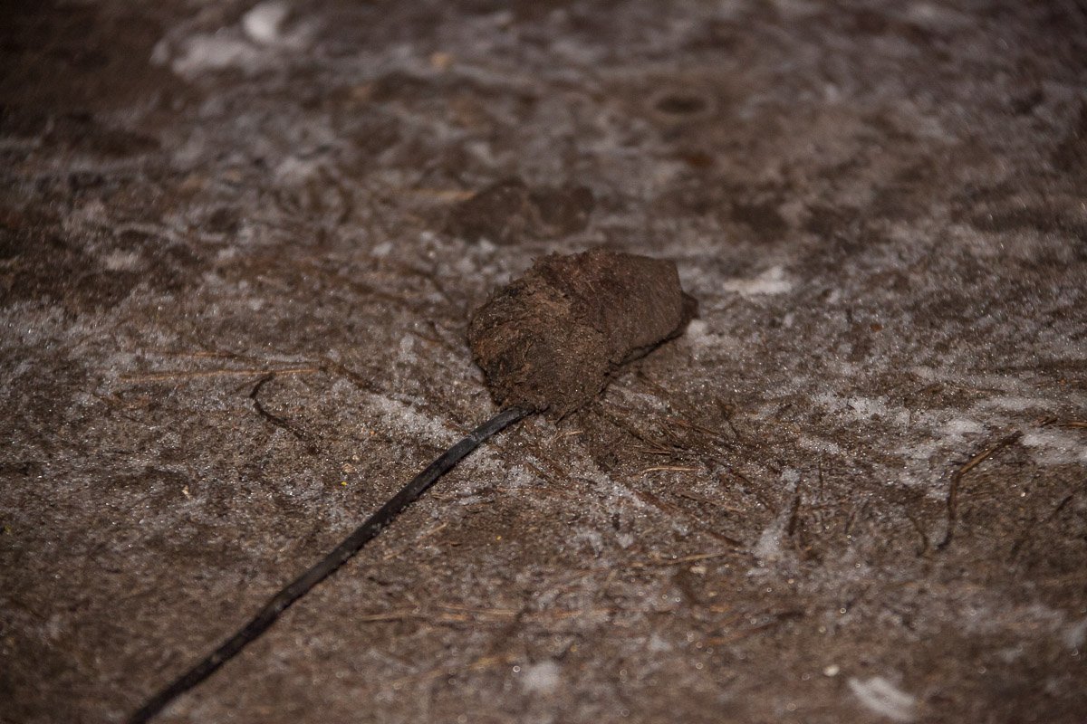 На месте происшествия обнаружены бутылка и факел, которые использовали для поджога авто На месте происшествия обнаружены бутылка и факел, которые использовали для поджога авто