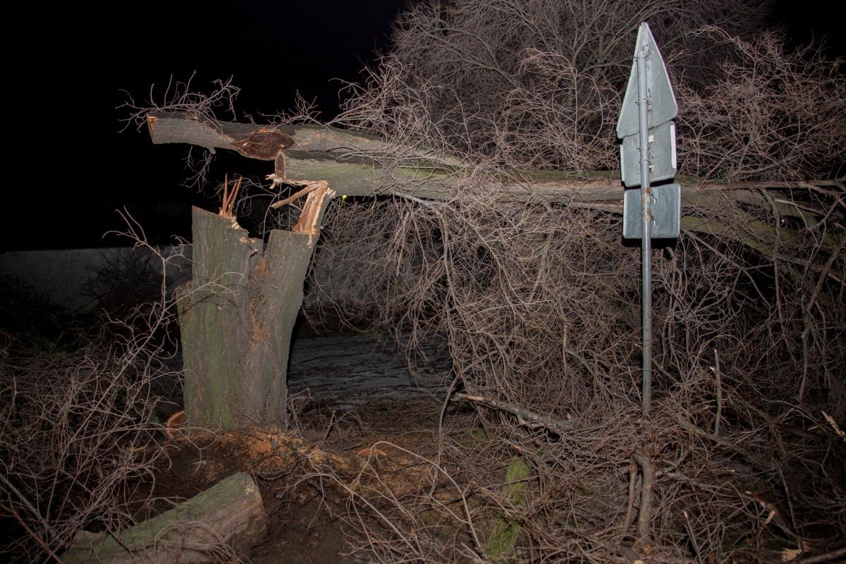 16 февраля в Днепре на Донецком шоссе дерево упало на проезжую часть, создав тем самым опасную дорожную обстановку 16 февраля в Днепре на Донецком шоссе дерево упало на проезжую часть, создав тем самым опасную дорожную обстановку