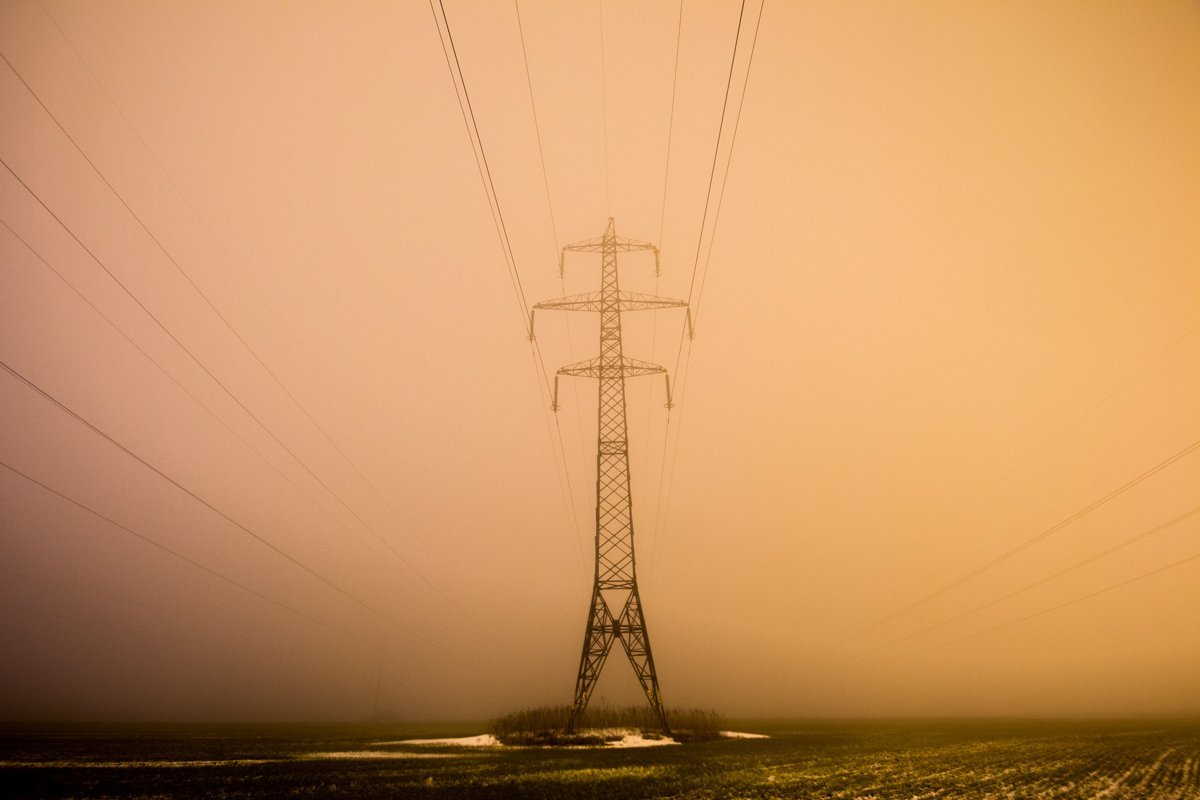 У пчел фиксируется повышенная агрессивность, беспокойство, снижение работоспособности склонность к потере маток У пчел фиксируется повышенная агрессивность, беспокойство, снижение работоспособности склонность к потере маток