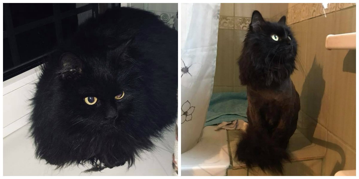 Он все еще ждет Он все еще ждет