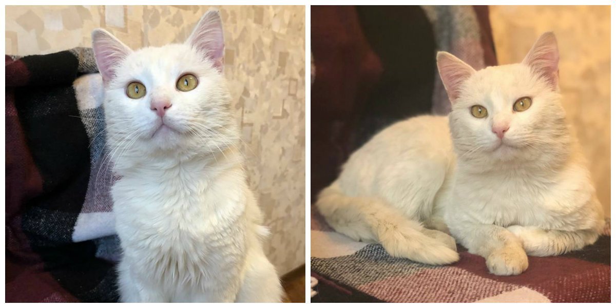 Станет самым верным Станет самым верным