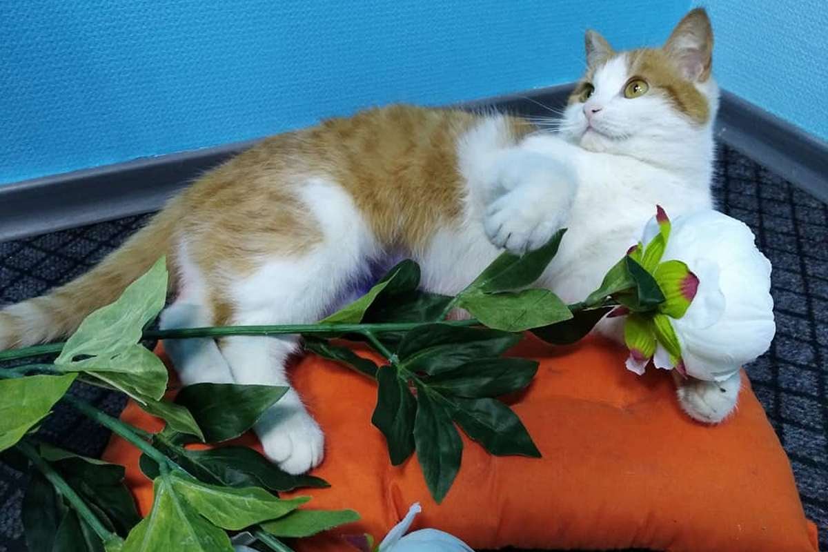 Хочет стать вашей лучшей подругой Хочет стать вашей лучшей подругой