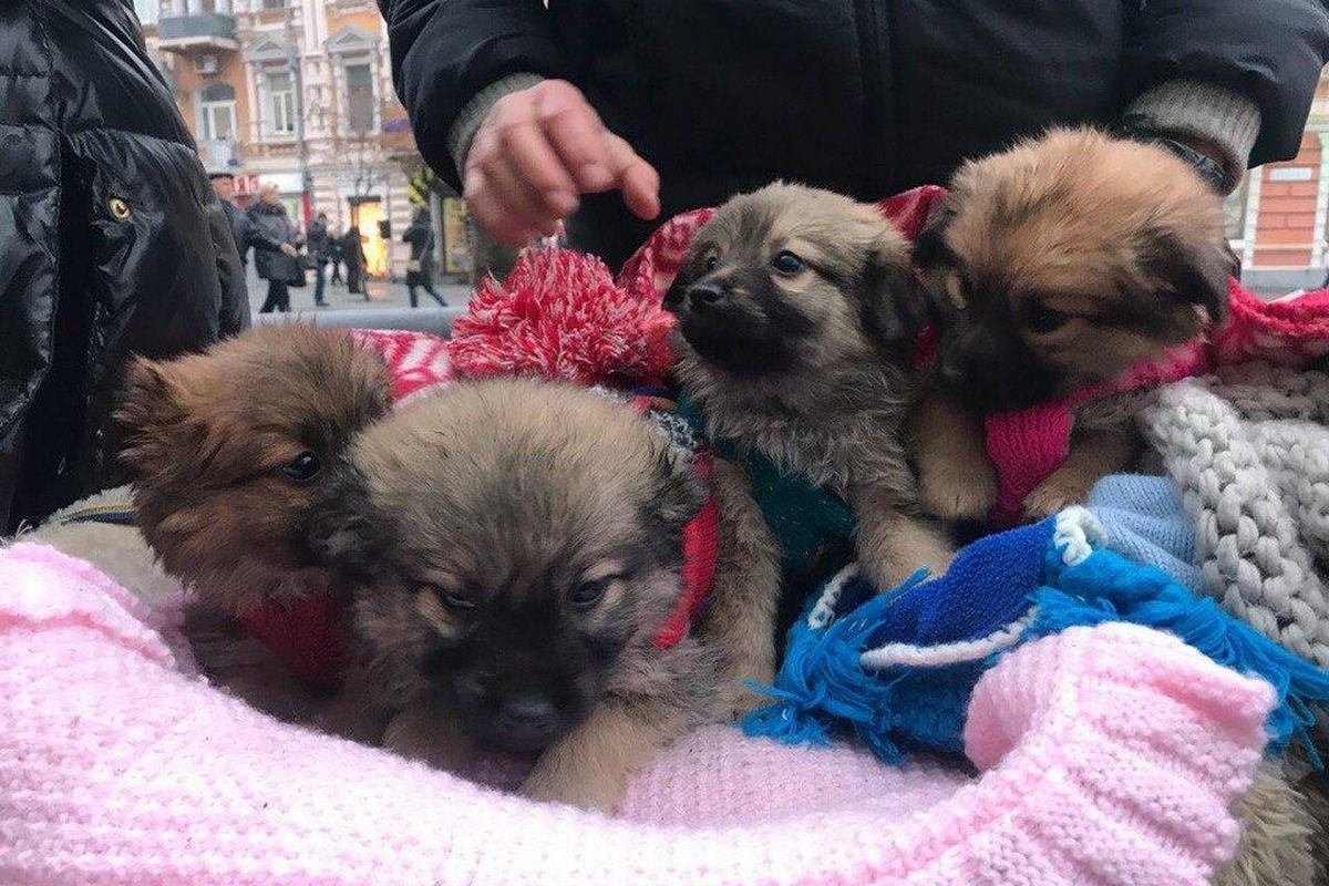 Выберите счастье для себя Выберите счастье для себя