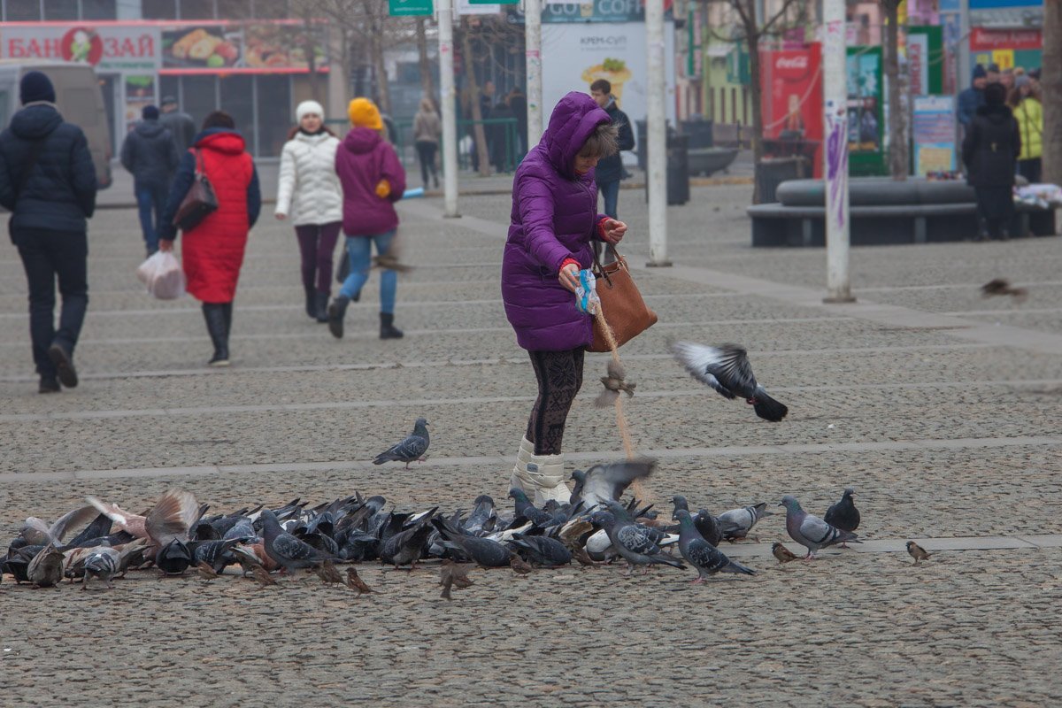 В кормлении голубей - главное вовремя отойти В кормлении голубей - главное вовремя отойти