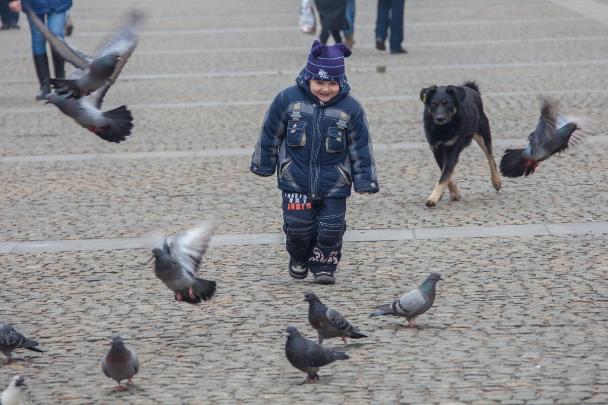 Загадка: за кем охотится собака? Загадка: за кем охотится собака?