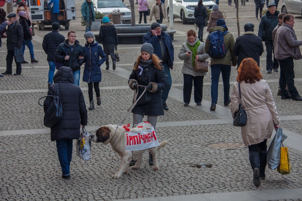 Может собака не хотела в этом участвовать? Может собака не хотела в этом участвовать?