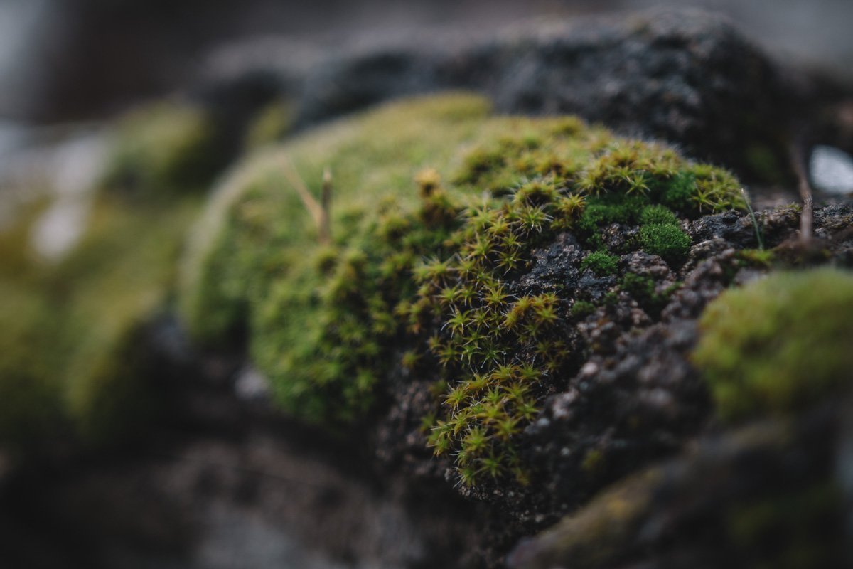 Природа начала реконструкцию стадиона своими силами