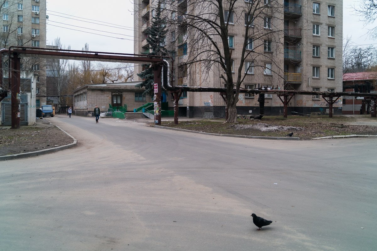 То, что здесь работали руки коммунальщиков, видно невооруженным глазом То, что здесь работали руки коммунальщиков, видно невооруженным глазом