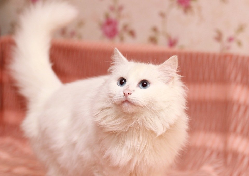 В этих глаза целая Вселенная