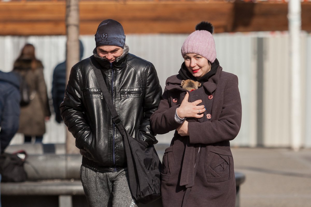 Слишком холодно, понеси меня, у меня лапки Слишком холодно, понеси меня, у меня лапки