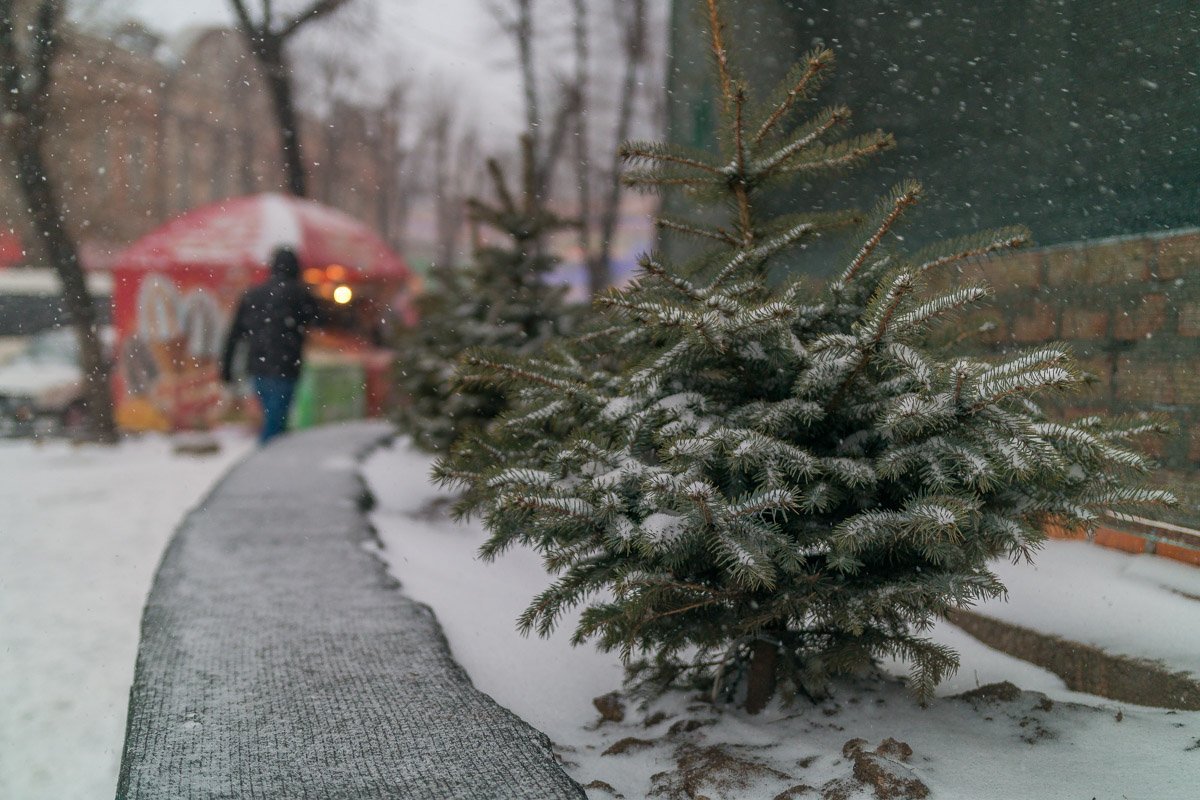 Надеюсь, мы сможем забыть про этот досадный инцидент Надеюсь, мы сможем забыть про этот досадный инцидент