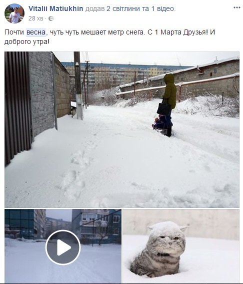 Под метром снега, возможно, спрятались метровые подснежники Под метром снега, возможно, спрятались метровые подснежники