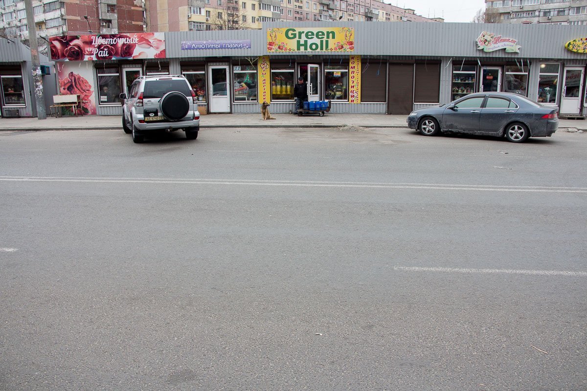 На цветочном рынке асфальт положили на парковке На цветочном рынке асфальт положили на парковке
