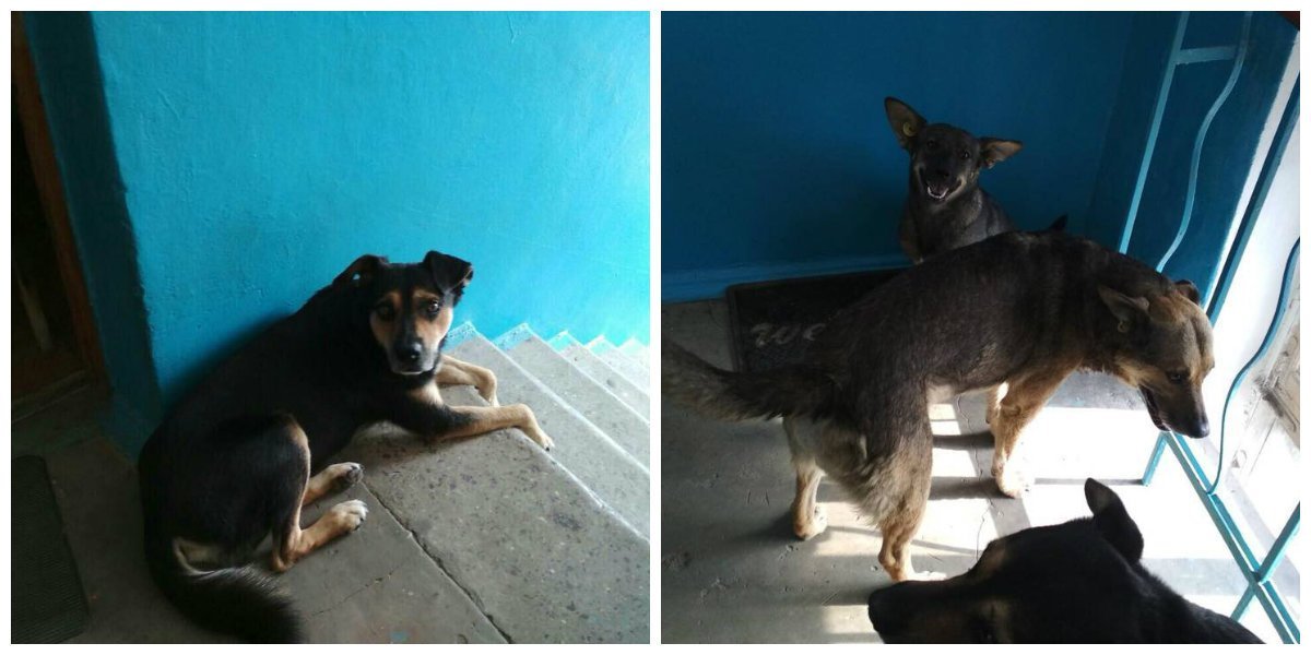 Будут ждать вас каждый вечер после работы Будут ждать вас каждый вечер после работы