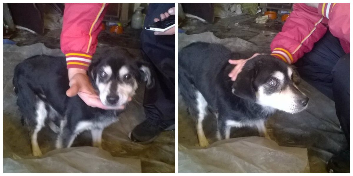 Он вас не увидит, но почувствует ваше тепло Он вас не увидит, но почувствует ваше тепло