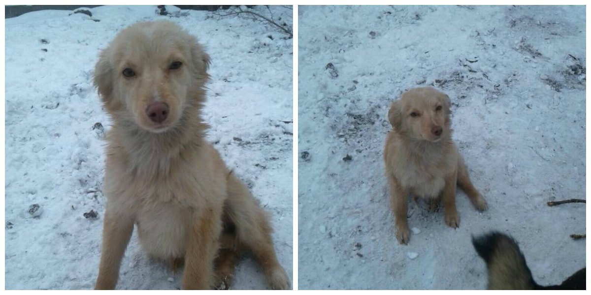 Малышка ждет именно вас Малышка ждет именно вас