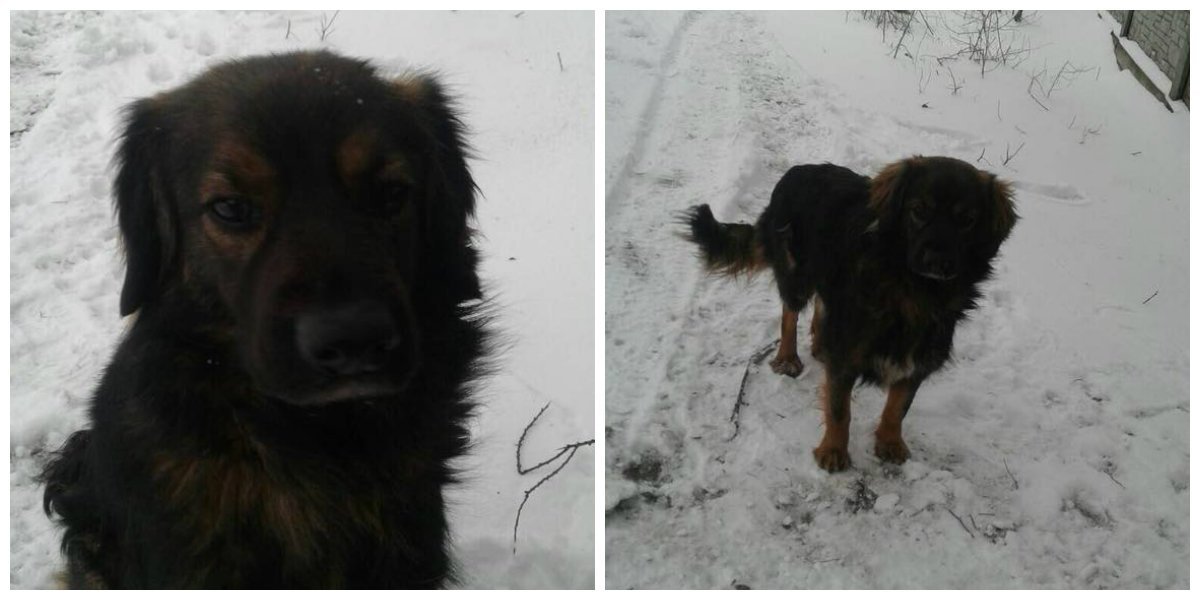 Будет охранять вас днем и ночью Будет охранять вас днем и ночью