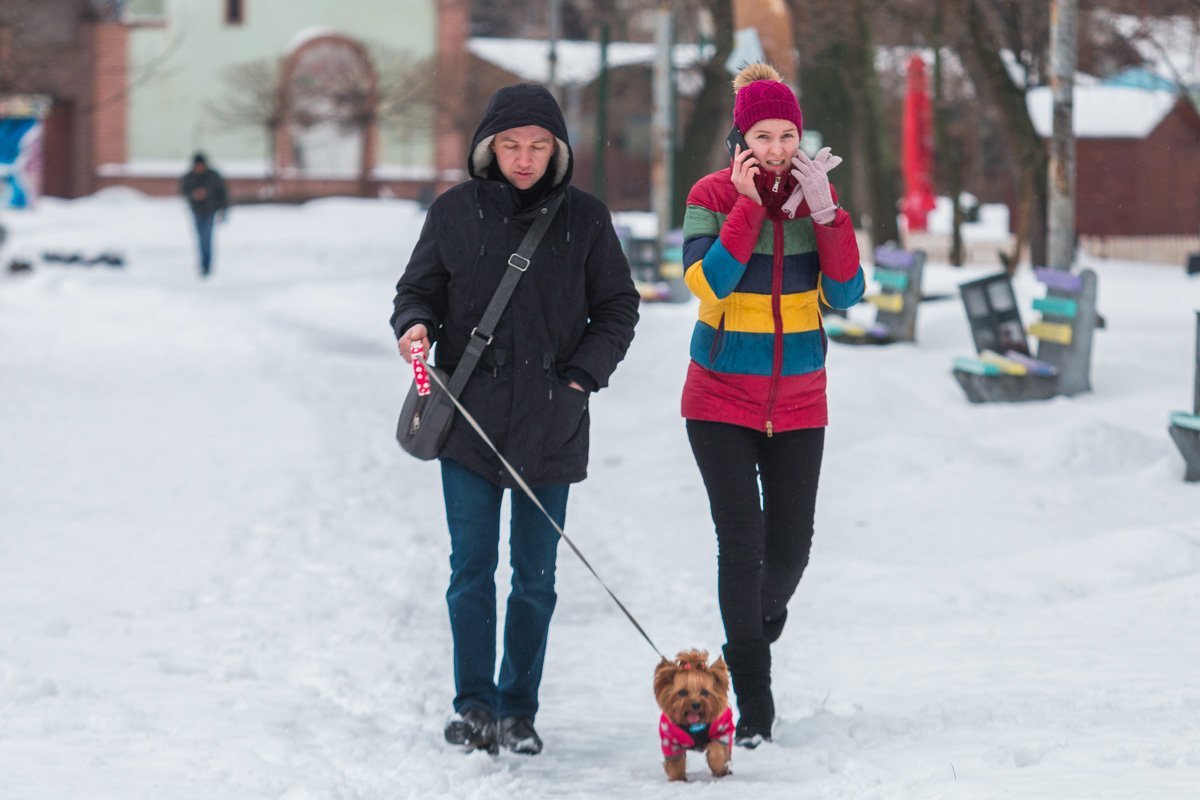 Когда у собаки куртка моднее, чем у тебя