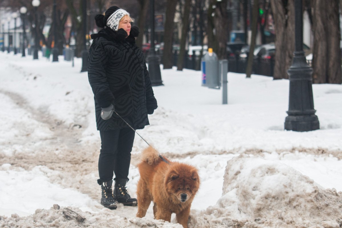 Всем бы такую шкурку