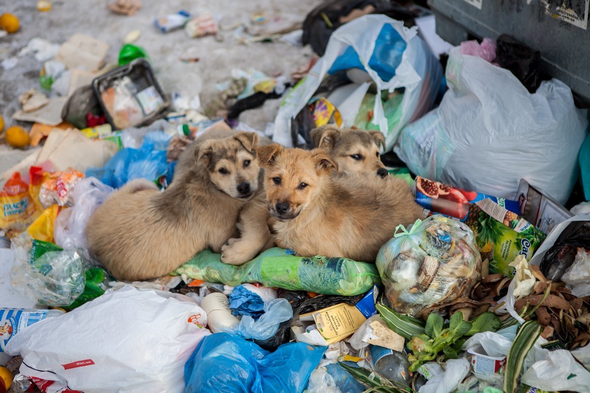 Но, как видно, страдают от этого далеко не все