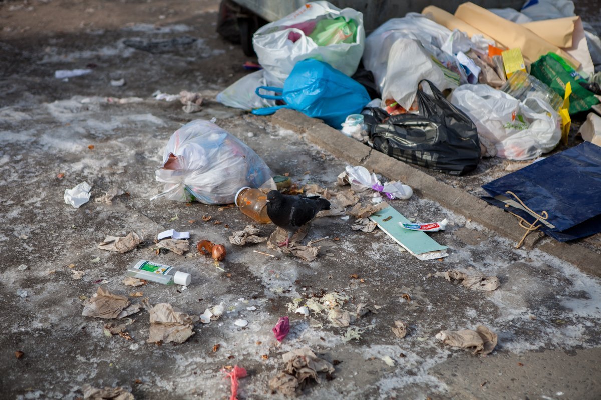 Местный дегустатор