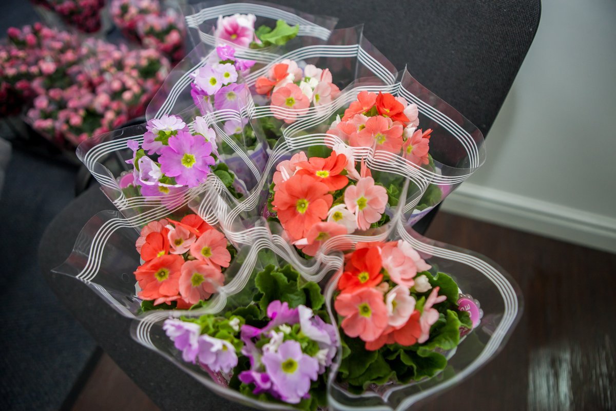 Сейчас у биржи благотворительности 7 проектов для онкобольных детей