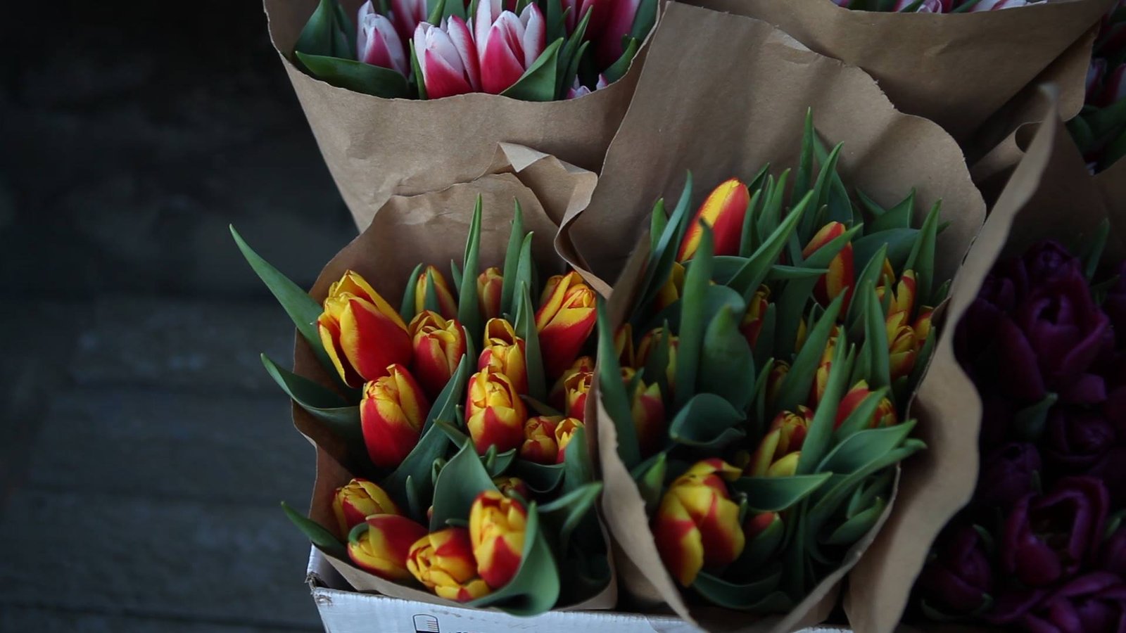 Весенняя нежность Весенняя нежность