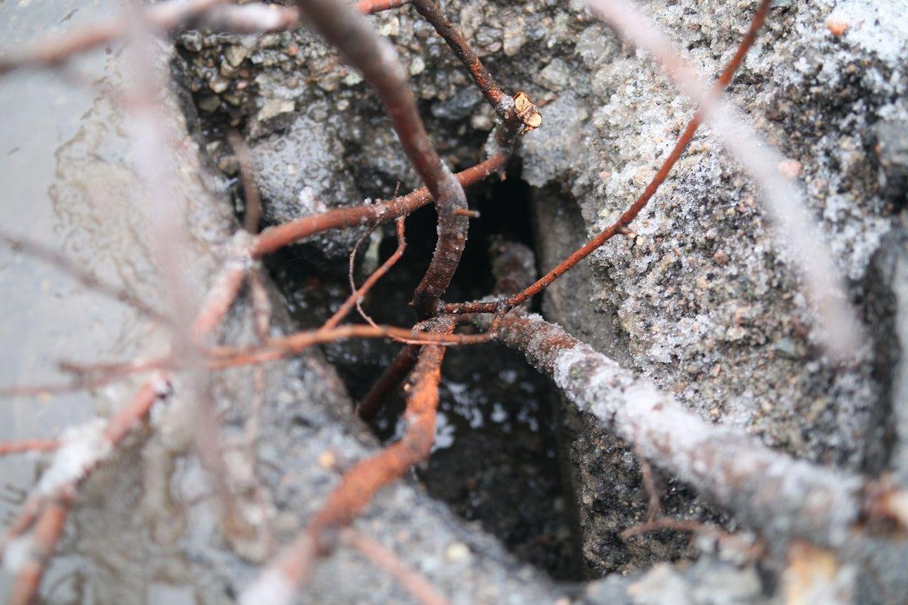 Дорожное покрытие повреждено по центру проезжей части