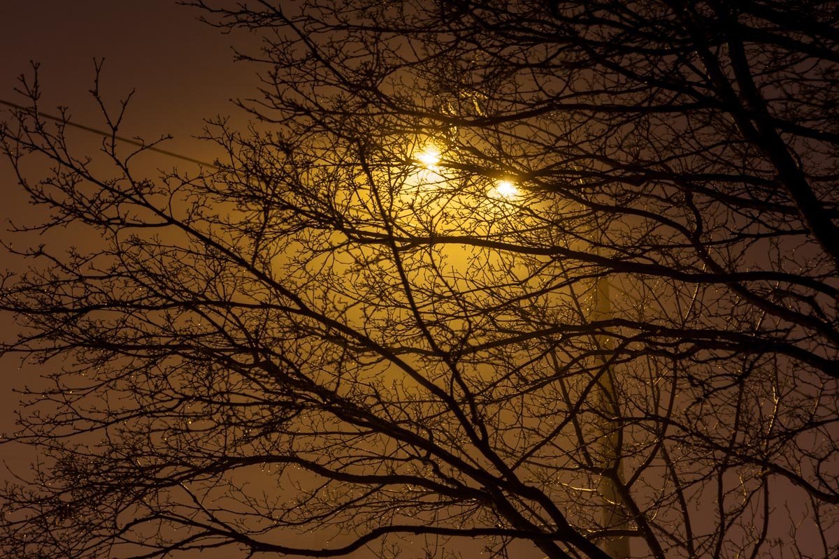 Фото Дениса Карпенко Фото Дениса Карпенко