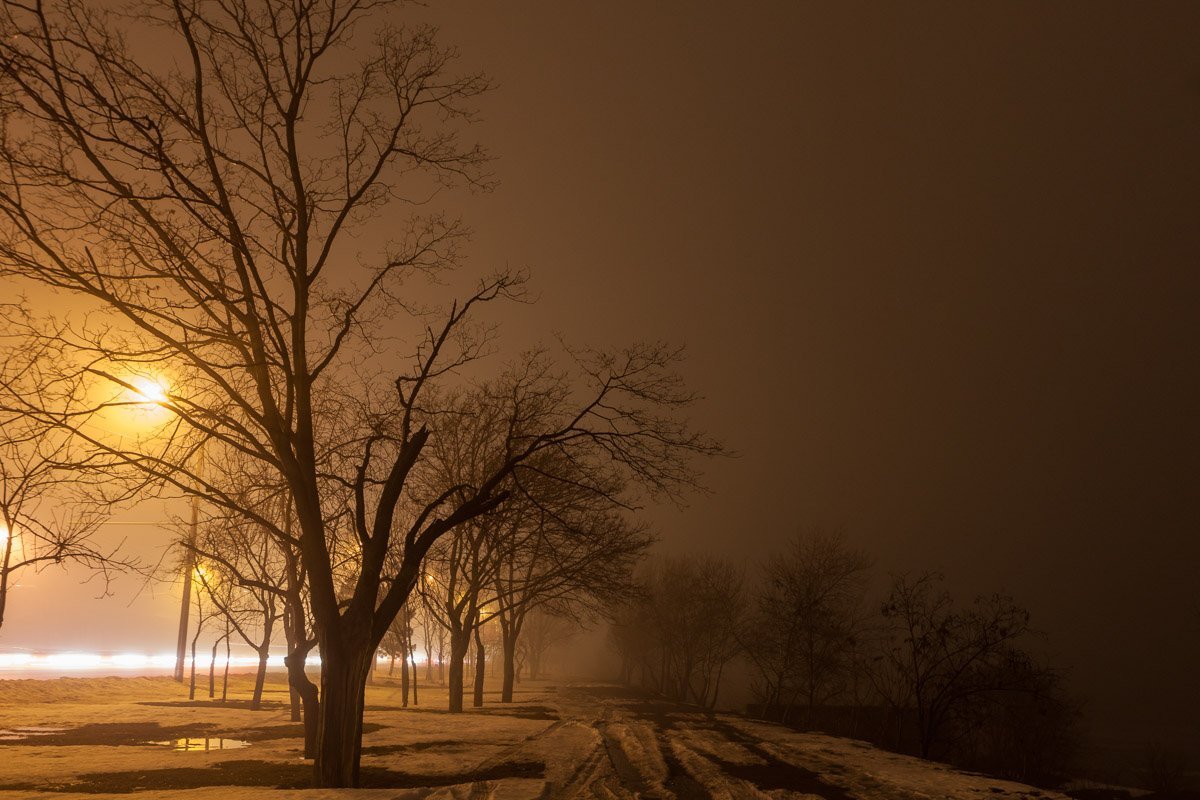 Фото Дениса Карпенко Фото Дениса Карпенко