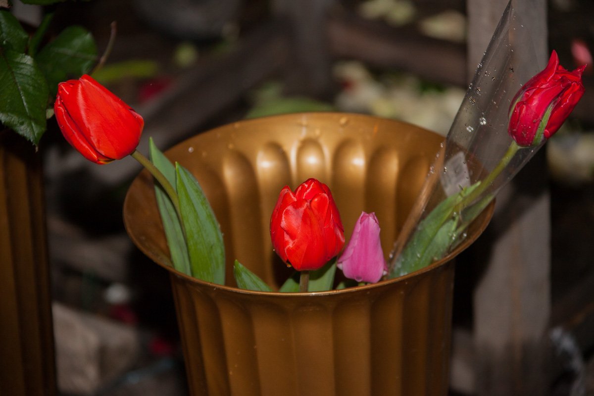 Остатки праздника