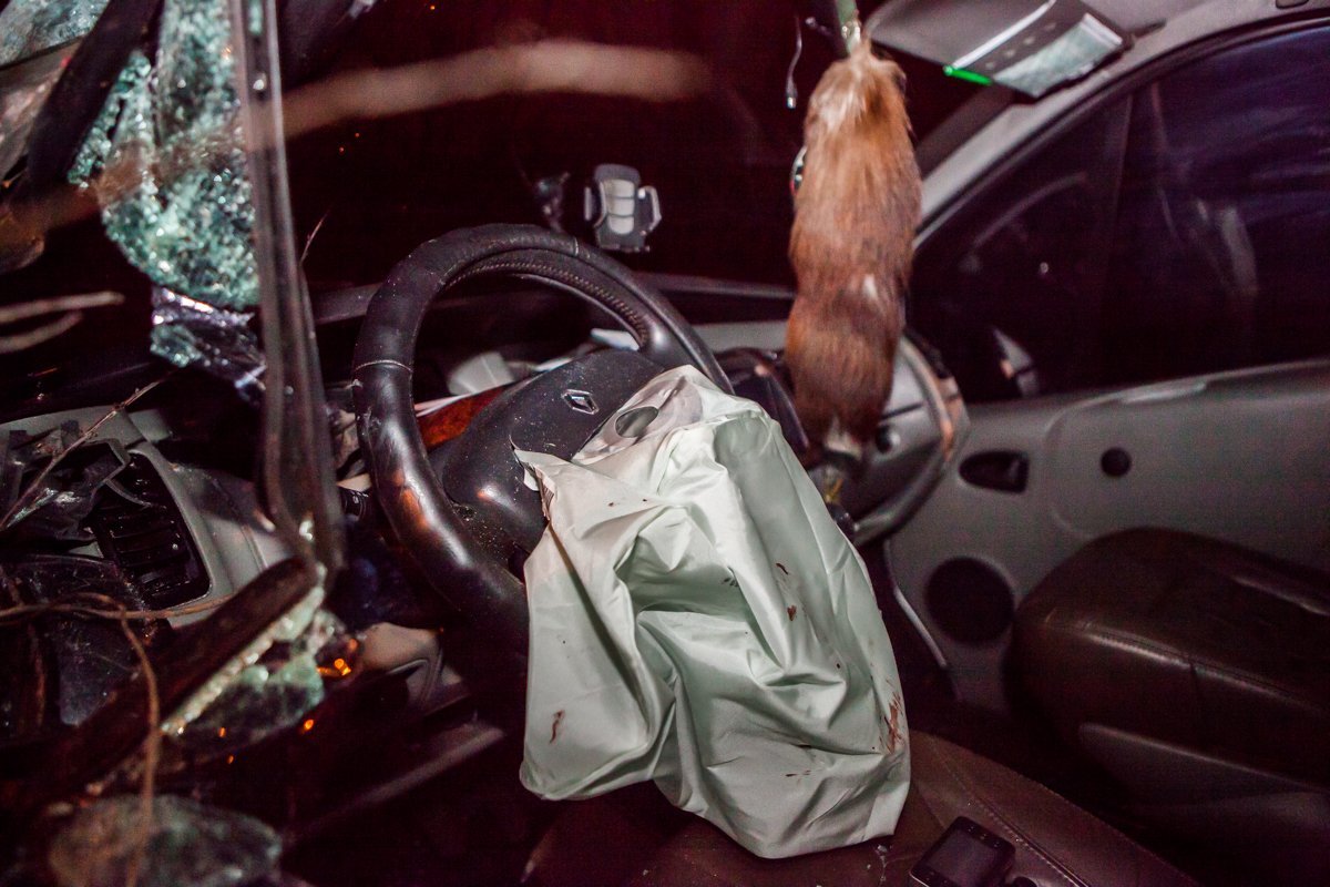 На подушке безопасности видны следы крови На подушке безопасности видны следы крови