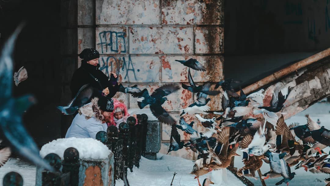 Фото: deniska_ua. Успей поймать момент Фото: deniska_ua. Успей поймать момент