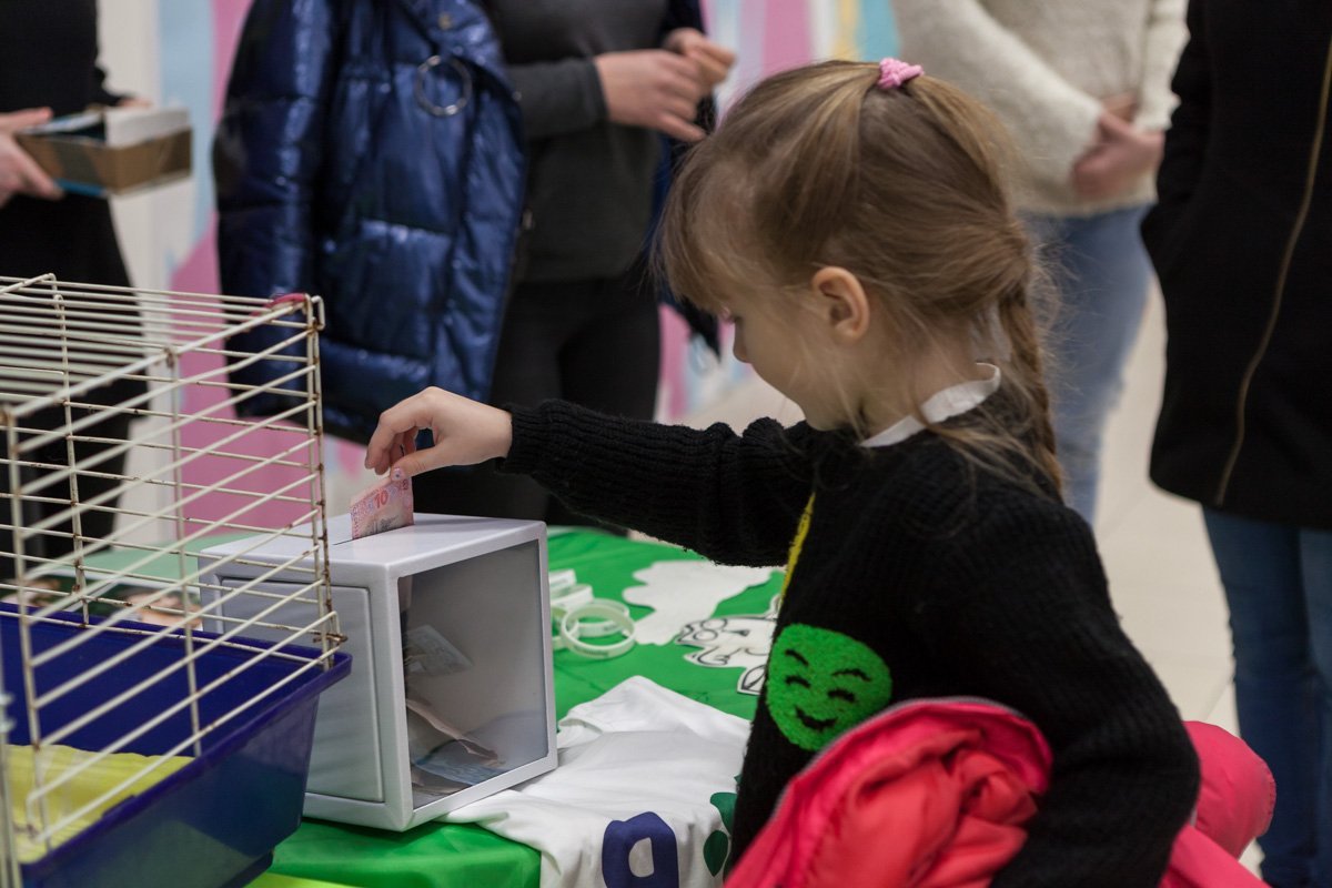Если не можете забрать котика себе, помогите приюту материально Если не можете забрать котика себе, помогите приюту материально