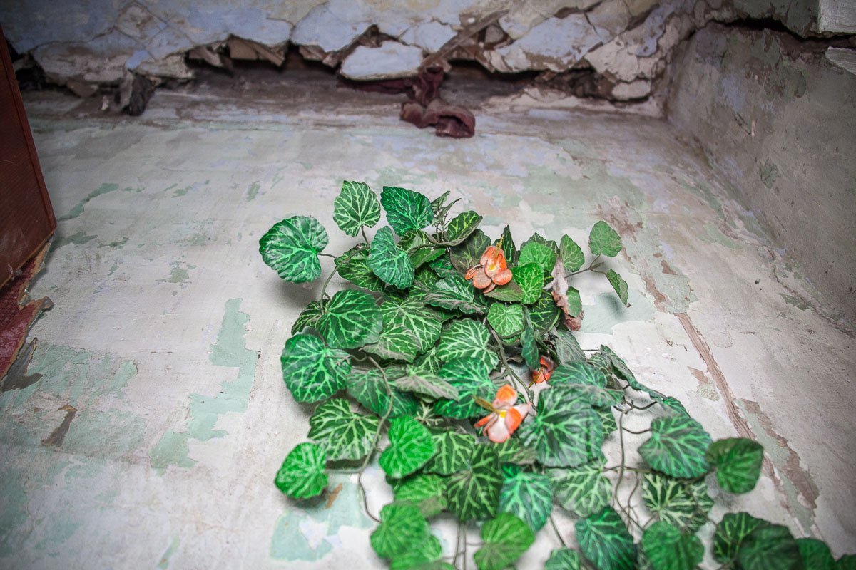 Фото Андрея Лысенко