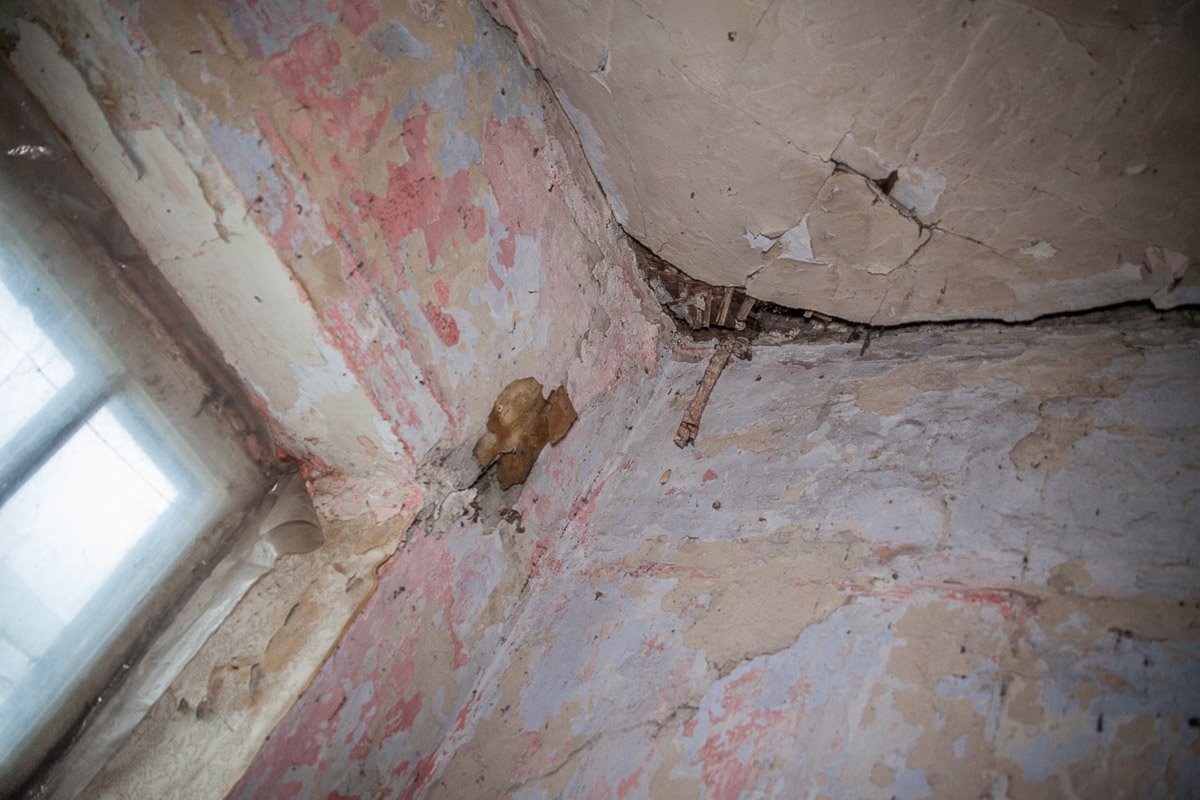 Фото Андрея Лысенко