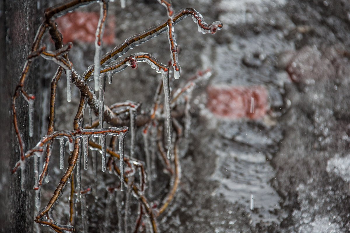 Из-за низкой температуры воздуха, вода начала замерзать