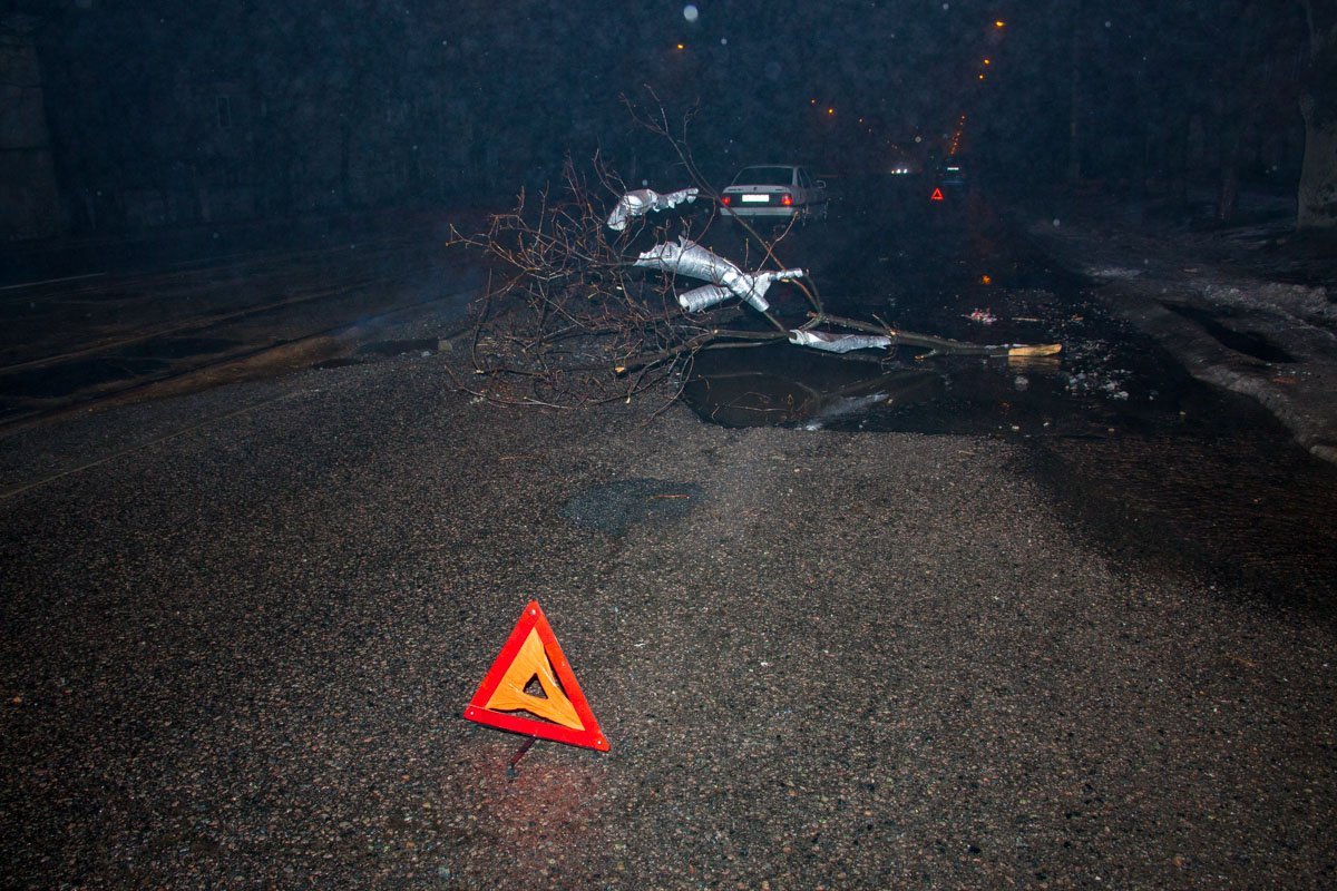 Водители поместили на место ямы ветку Водители поместили на место ямы ветку