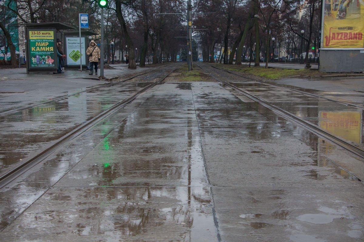 Нужно видеть прекрасное во всем - в мерзких лужах красиво отражаются мерзкие голые деревья